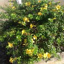 ���� ���������, ��������, 59 ��� - ��������� 21 ������ 2017 � ������ ���� ����������