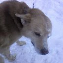 ���� �������, ����������� - ��������� 18 ������� 2017 � ������ ������� ��.�