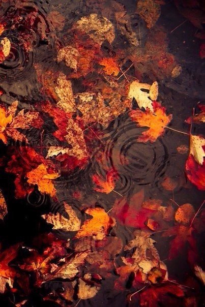 ...   ,   ,   .  ... - 4