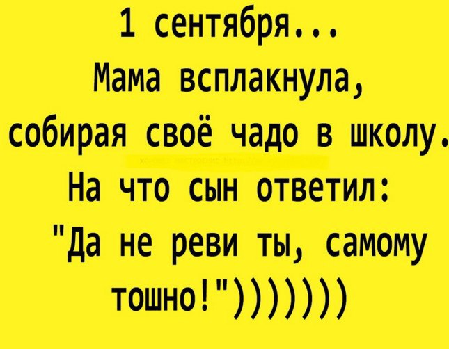 ☆ ☆ - 16  2016  12:05