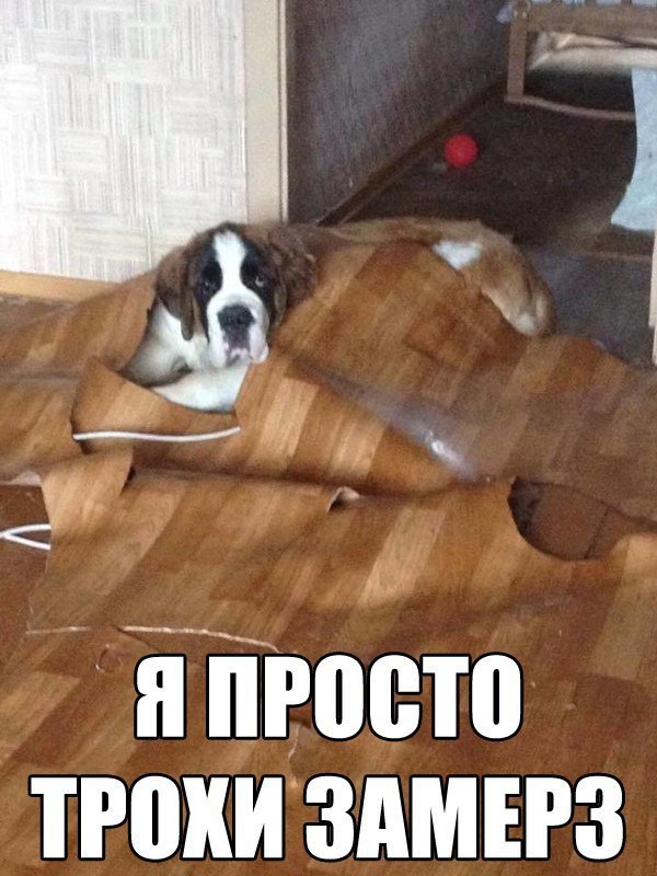  - 3  2016  12:23