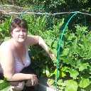 ���� �������, ����������, 44 ���� - ��������� 23 �������� 2016 � ������ ���� ����