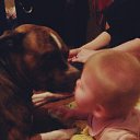 ���� ��������, ����������, 61 ��� - ��������� 10 ������� 2016 � ������ ���� ����������