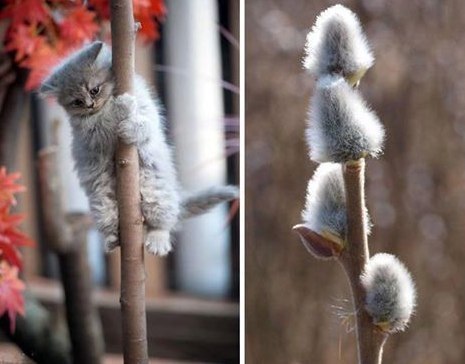     :3