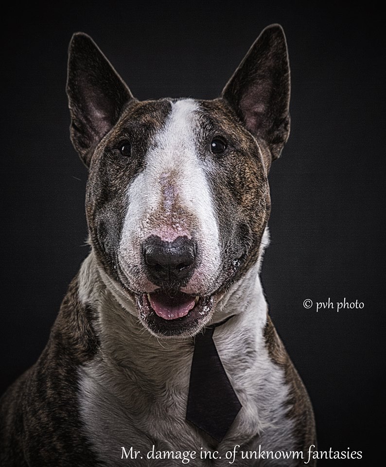 Доброго утра и удачного дня, булеродители