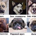  Alexandr, , 71  -  21  2016    