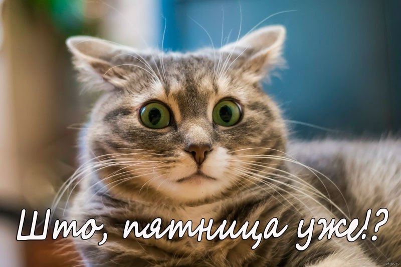 !)