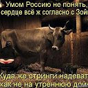  .. .,  -  31  2016     