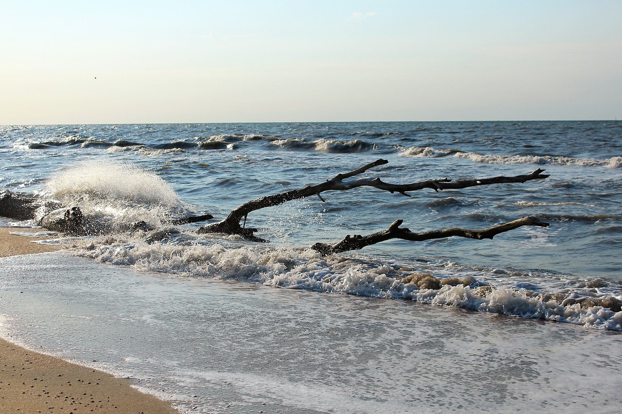 Вода в азовском море в июле