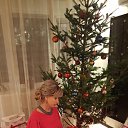 ���� ����, ����������� - ��������� 7 ������ 2017 � ������ ���� ����������