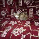 ���� ����, ���� - ��������� 12 ������� 2017 � ������ ���� ����������