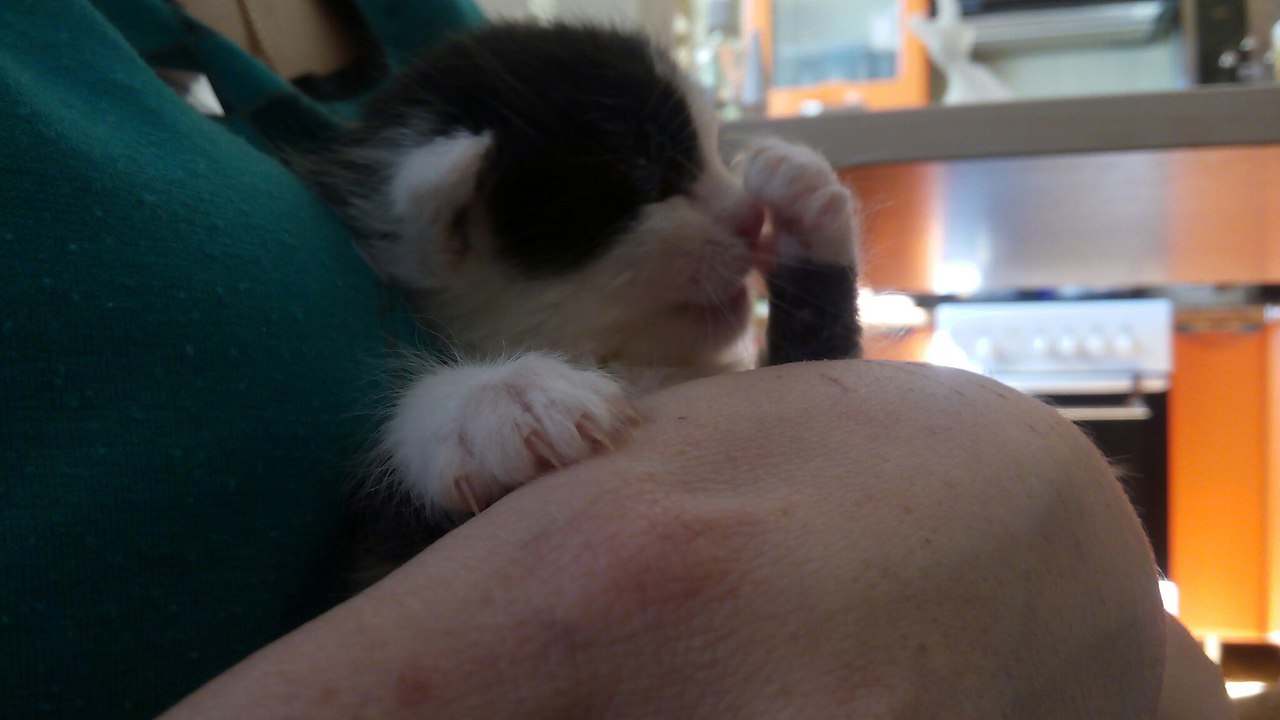 #_.         (,   ... - 3