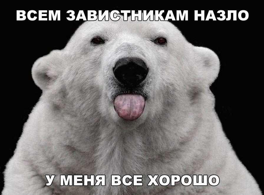    :D - 8  2016  20:32