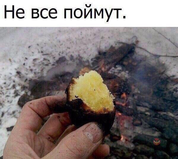   - 1  2017  12:03