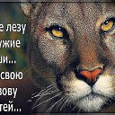 ���� ��������, ������� - ��������� 12 ������ 2017 � ������ ������ ��������