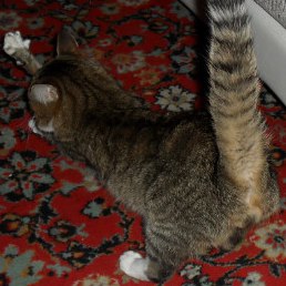 ���, ������, 24 ����