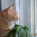 ���� �������, ��������, 53 ���� - ��������� 24 �������� 2016 � ������ ���� ����������