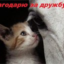 ���� @...������ �����***, �������� - ��������� 21 ������ 2016 � ������ ������ ��������