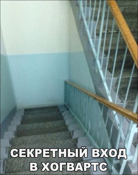 ? ,  ! - 1  2016  11:59