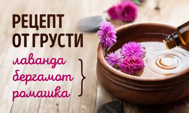 9 природных ароматов, способных изменить наше настроение. Натуральные ароматизаторы и эфирные масла ...
