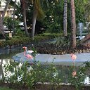 ���� Vincent, ������������, 50 ��� - ��������� 6 ������� 2016 � ������ ���� ����������