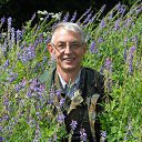 ���� ����, ������ ��������, 62 ���� - ��������� 10 ������� 2016 � ������ ���� ����������