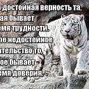  , , 53  -  3  2017      ..))