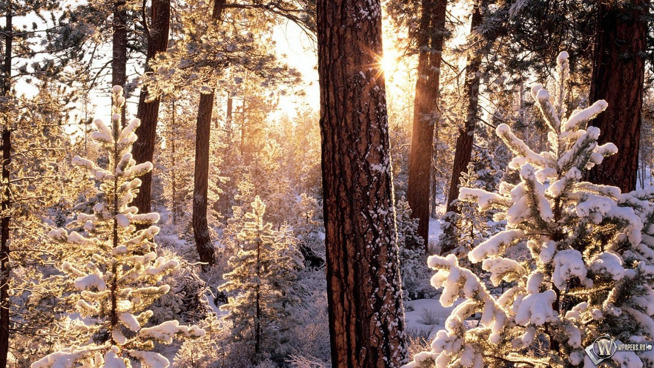 ������ - 15 ������� 2016 � 13:29 - 2