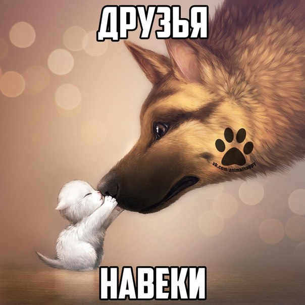    - 4  2017  01:11