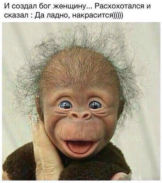   :D - 8  2016  03:31