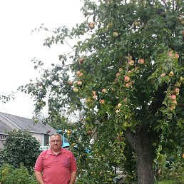Edgaras, �������, 56 ���