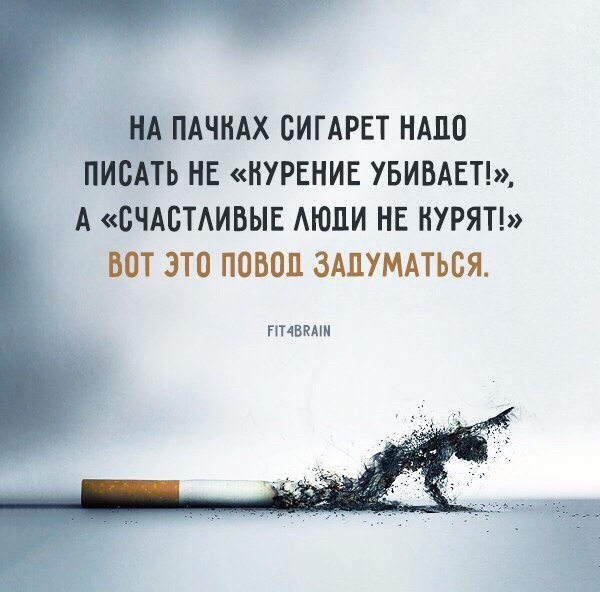  -   - 15  2017  11:05