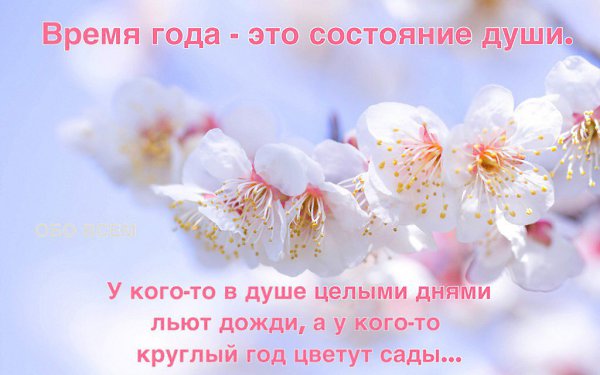 Захотелось весенних стихов, Удивительных, солнечно-ярких, В невесомой прозрачности слов, С лёгким ...