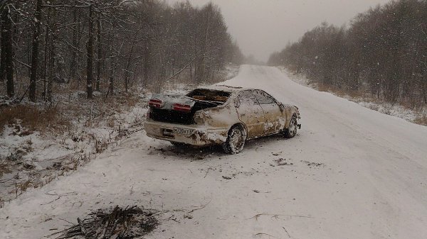 Вот такую картину увидел на дороге. Выглядит как начало Survival-игры