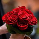 ���� �����, ������ - ��������� 28 �������� 2016 � ������ ���� ����������