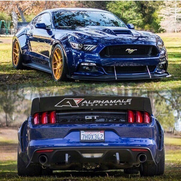 Mustang