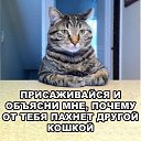 ���� �������, �����������, 37 ��� - ��������� 6 ������ 2017