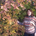 ���� �����, ������, 66 ��� - ��������� 3 ������� 2016 � ������ ���� ����������