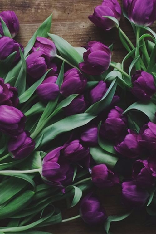   .#@woman.blog - 2