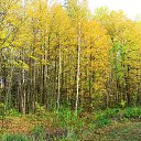 ���� �������, ��������, 47 ��� - ��������� 2 ������� 2016 � ������ ���� ����������