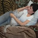 ���� �������, ������ - ��������� 10 ������� 2016 � ������ ���� ����������