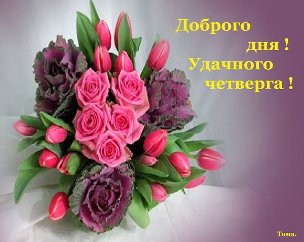 Блестит росою предрассветной, Трава в лесу.Спокойно так! Туман ложится,нету ветра, Вновь к непогоде ...