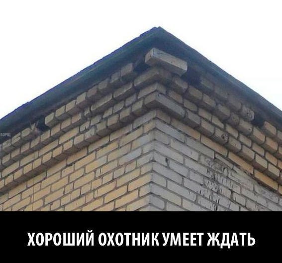    - 5  2017  23:16