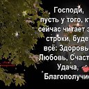 ���� ������ ���� 351, �������, 63 ���� - ��������� 11 ������ 2017 � ������ ������