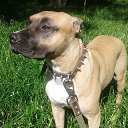 ���� ������, ������, 59 ��� - ��������� 17 ������ 2016 � ������ ���� ����������