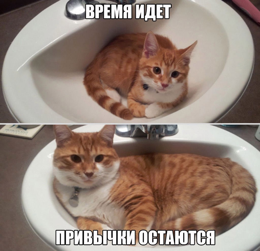    - 7  2017  20:29
