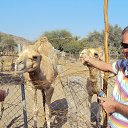  ,  -  19  2017     2016