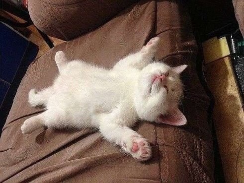   :    ,   - ,   - ,  ...