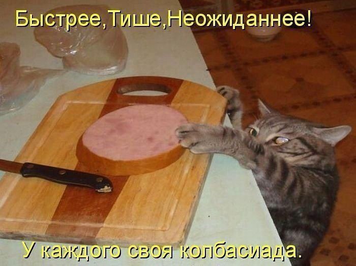  ,    ...   ! - 2