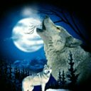 ���� ������, ��������, 50 ��� - ��������� 2 ������� 2017 � ������ �������